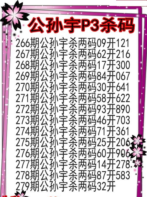 公孙宇杀码图