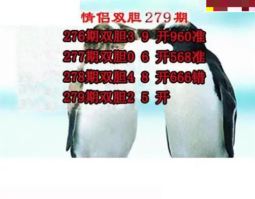 情侣双胆