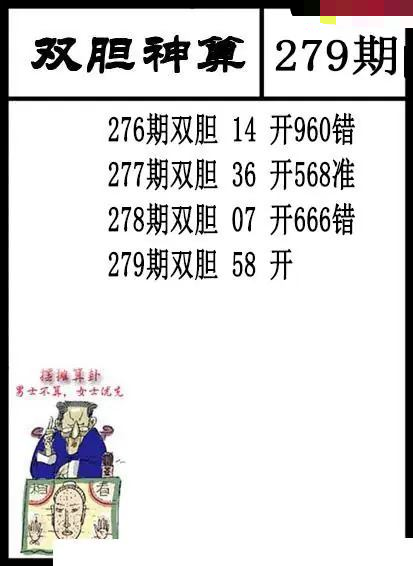 双胆神算