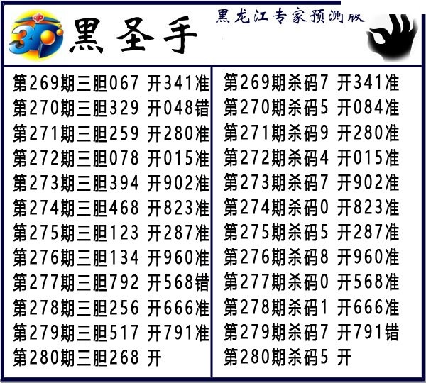 黑圣手