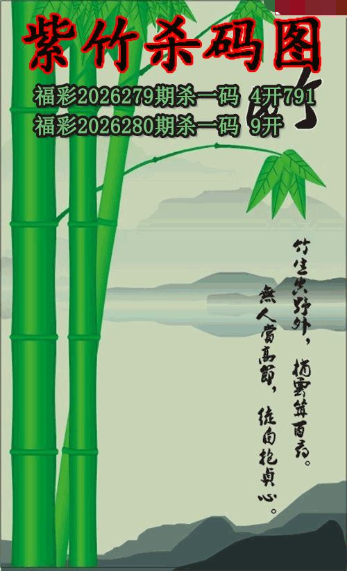 紫竹杀码