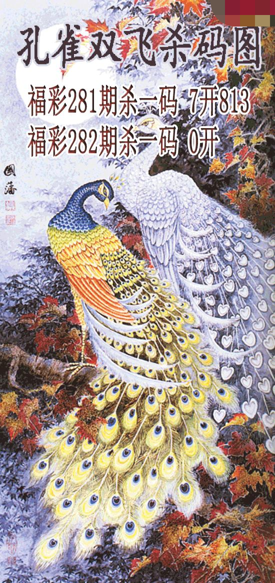 孔雀双飞杀码