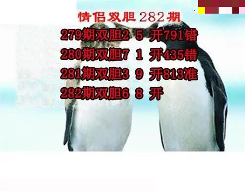 情侣双胆
