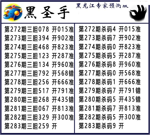 黑圣手