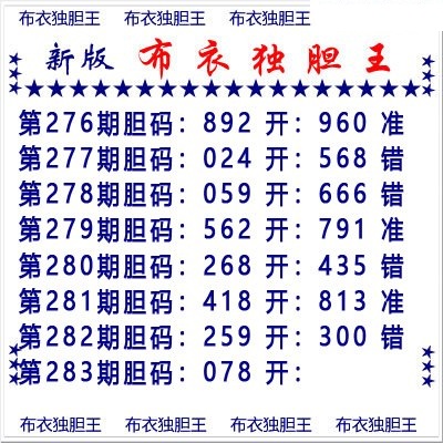 布衣独胆王