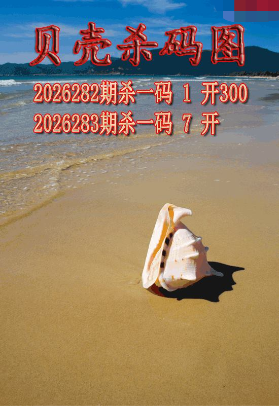 贝壳杀码