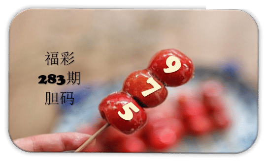 串串胆码图