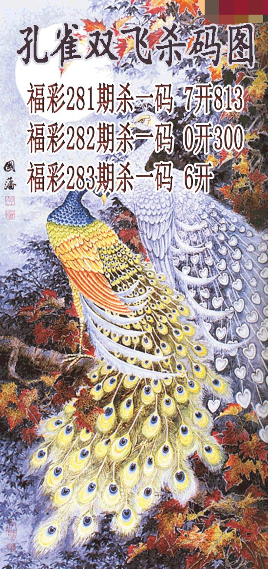 孔雀双飞杀码