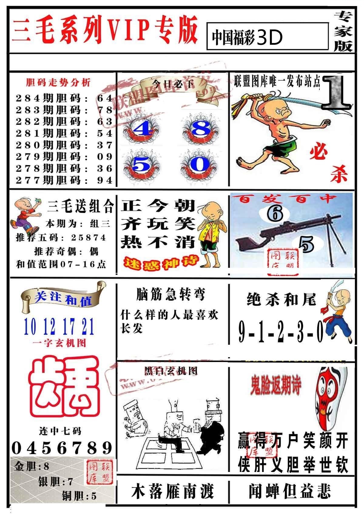 三毛专家版