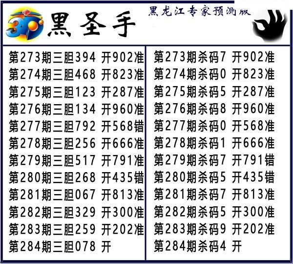 黑圣手