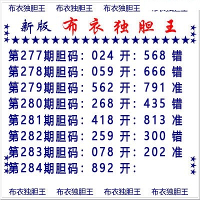布衣独胆王