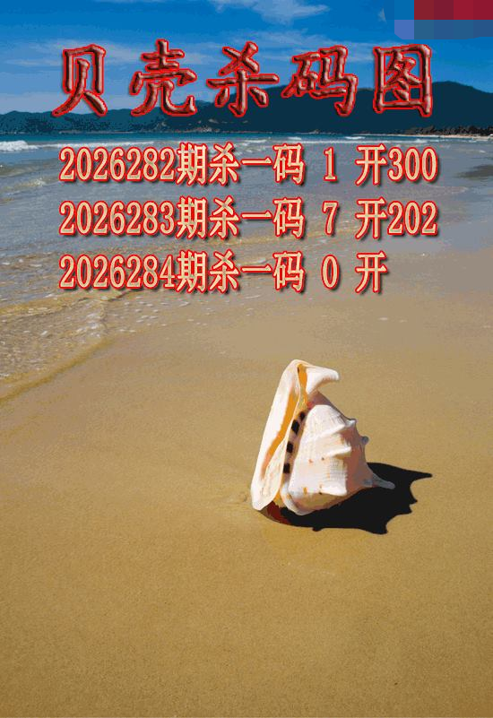 贝壳杀码
