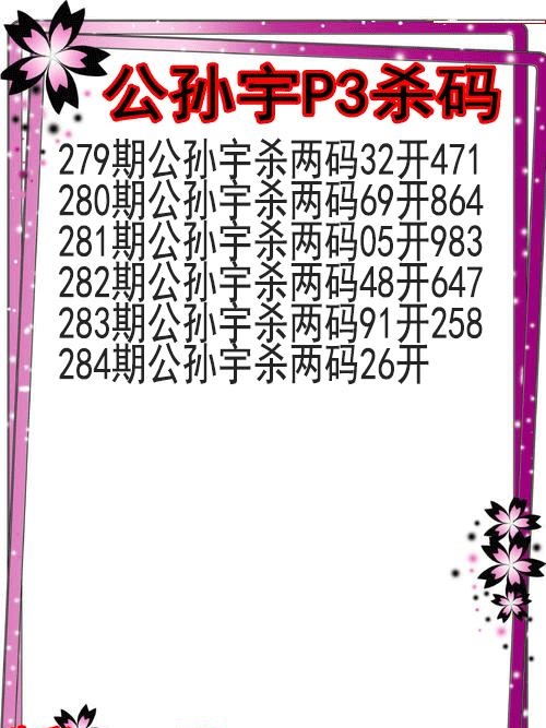 公孙宇杀码图