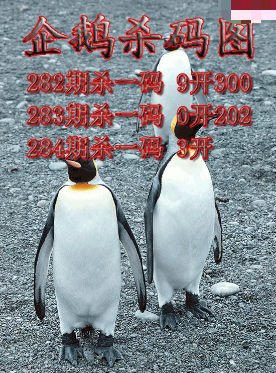 企鹅杀码