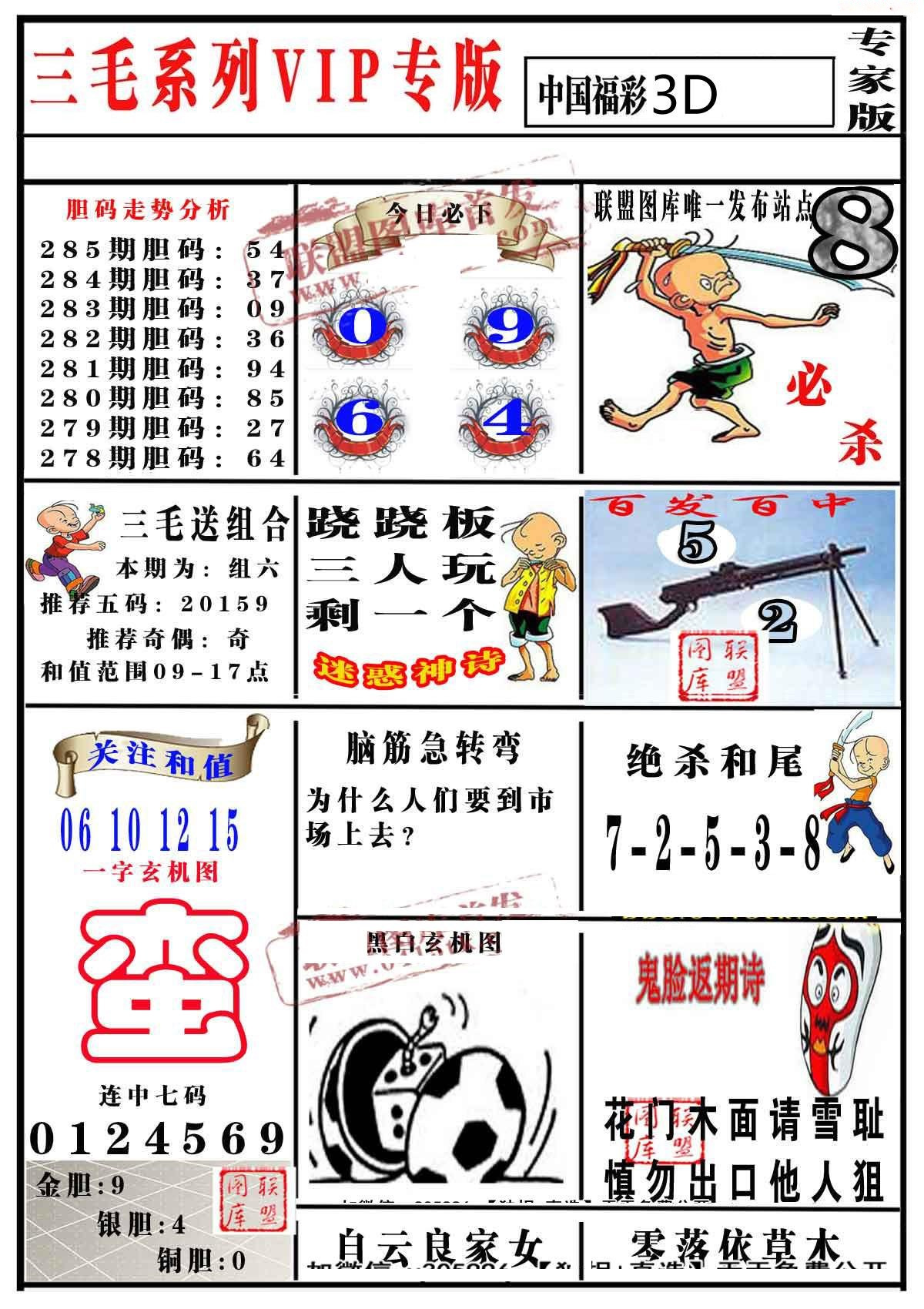 三毛专家版