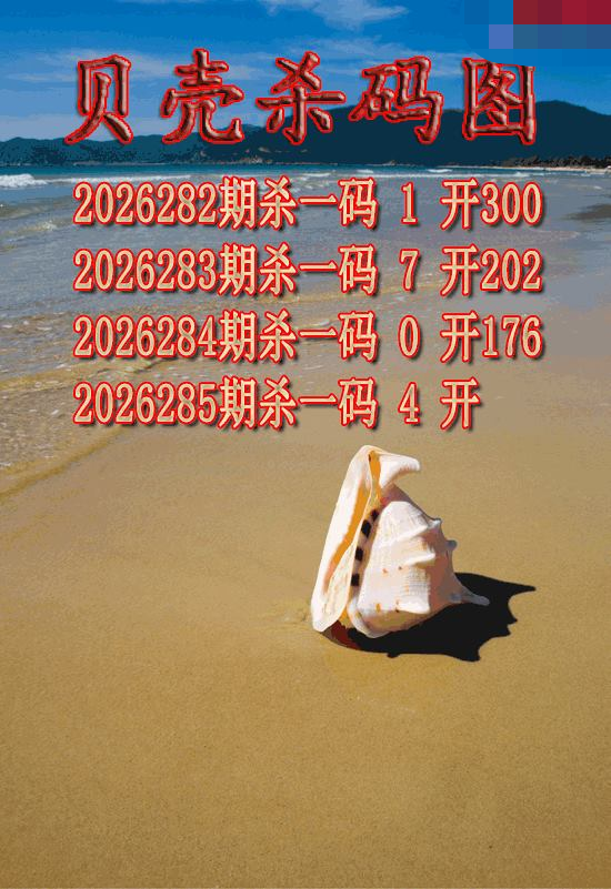 贝壳杀码
