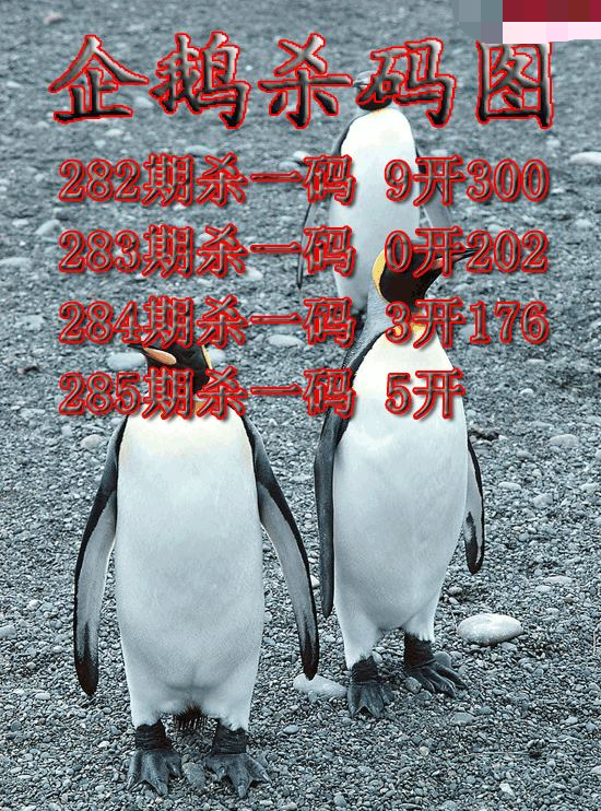 企鹅杀码