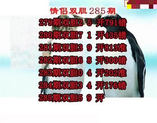 情侣双胆