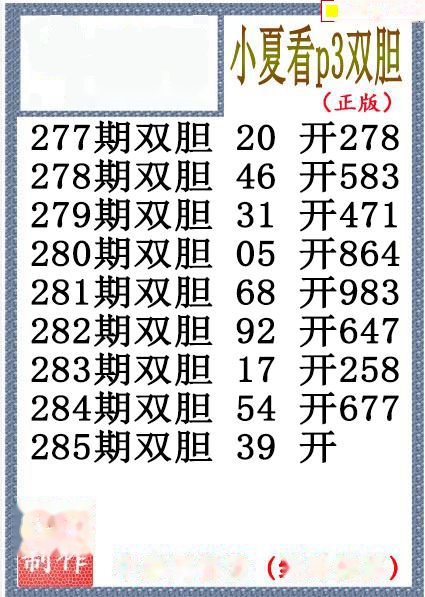 小夏双胆