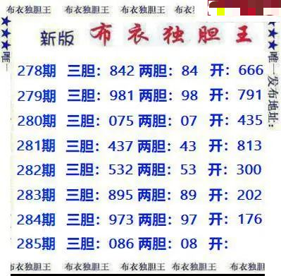 新版布衣独胆王