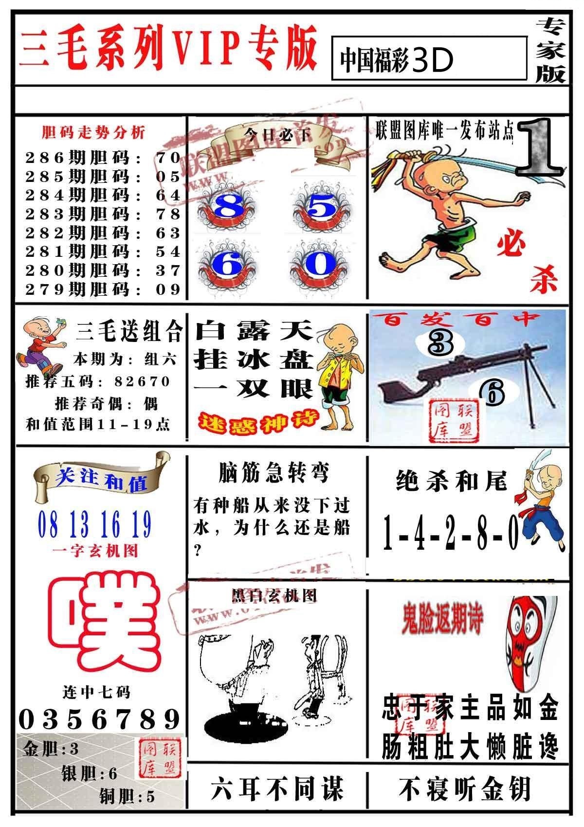 三毛专家版