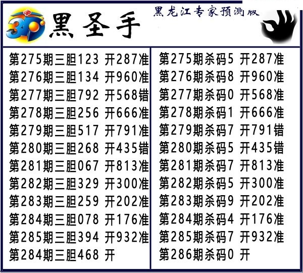 黑圣手