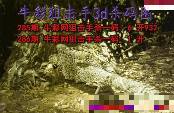 牛彩狙击手杀码