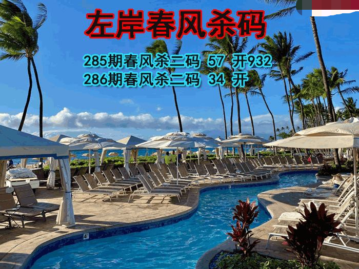 左岸春风杀码
