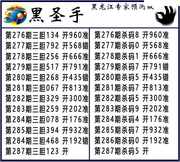 黑圣手