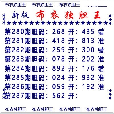 布衣独胆王