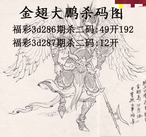金翅大鹏杀码