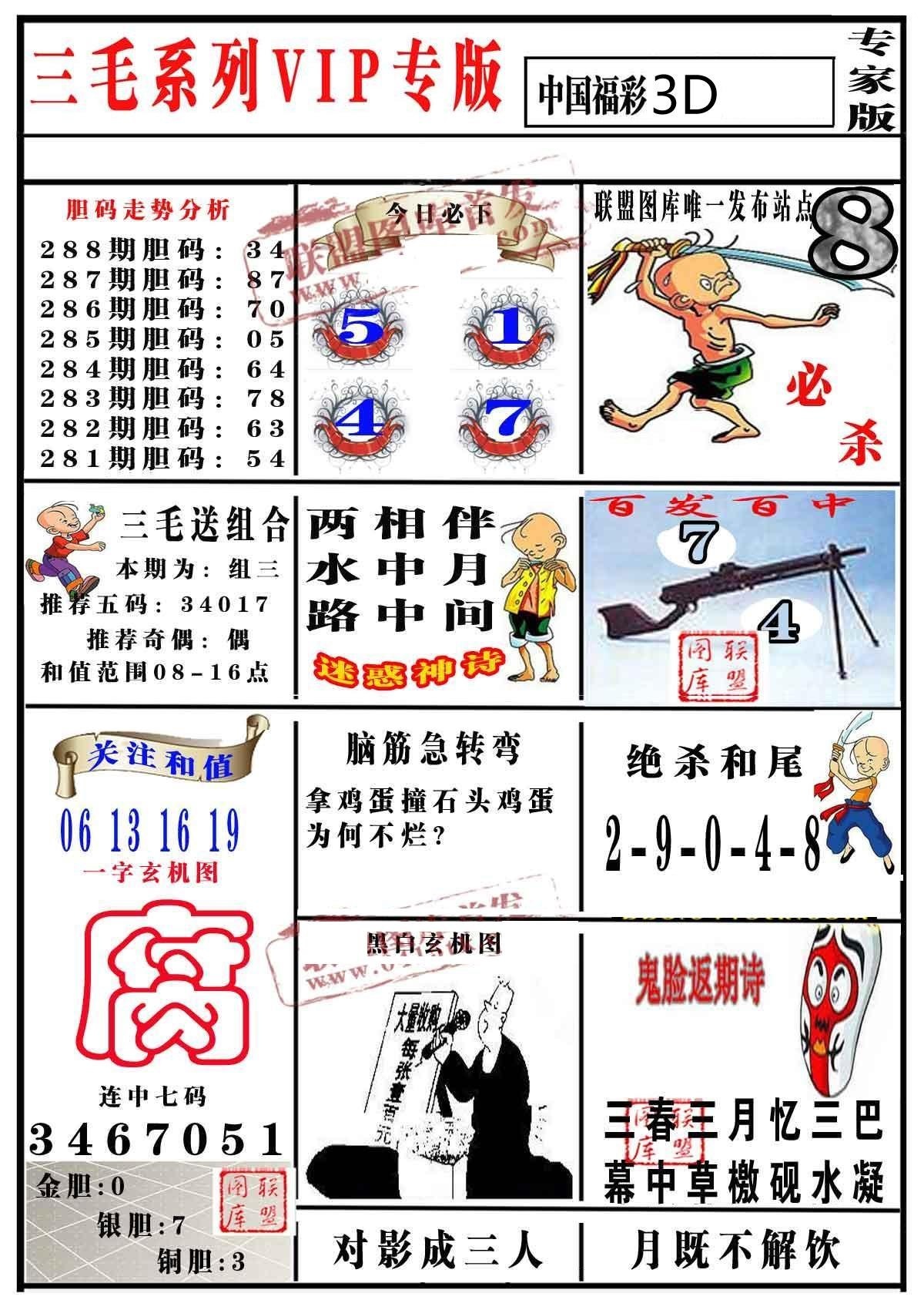 三毛专家版