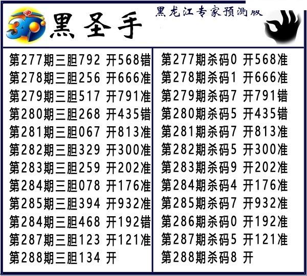 黑圣手