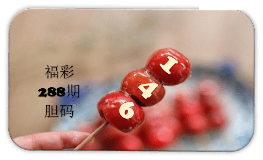 串串胆码图