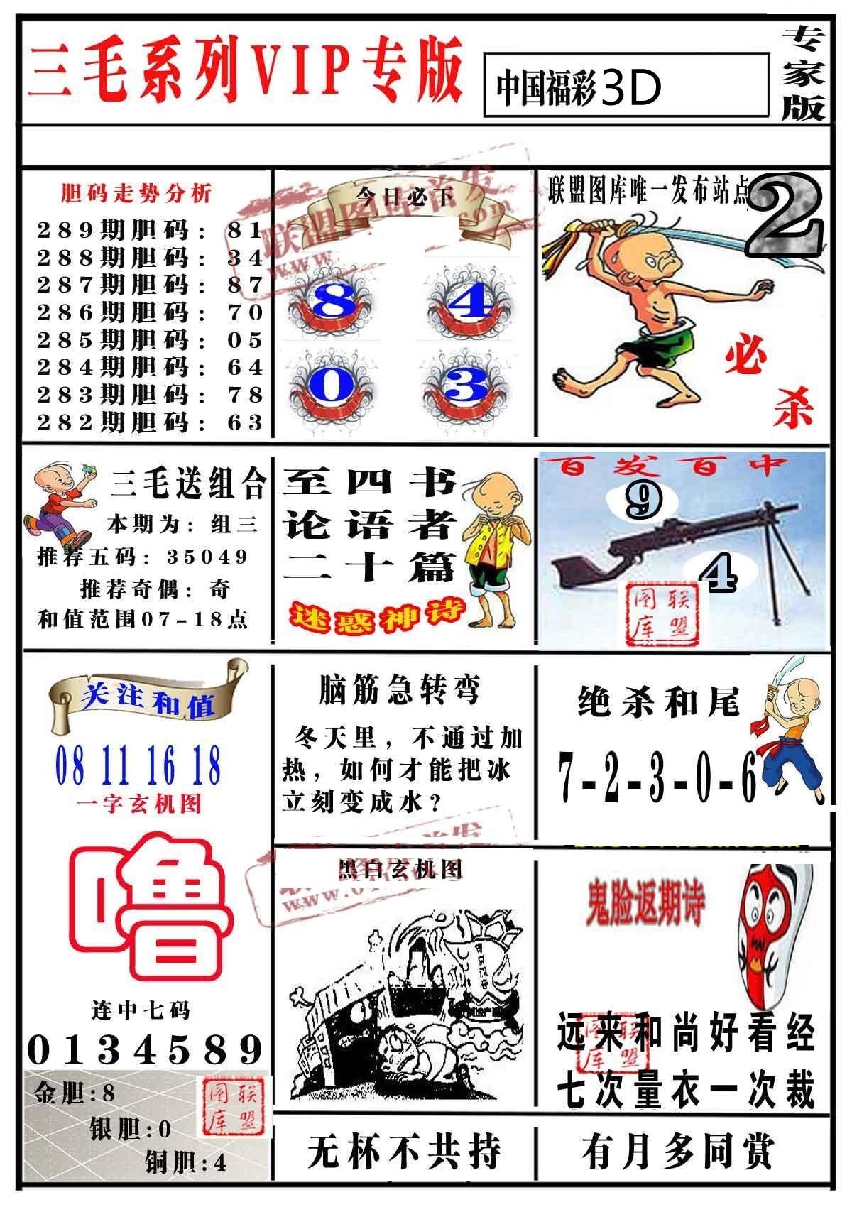 三毛专家版