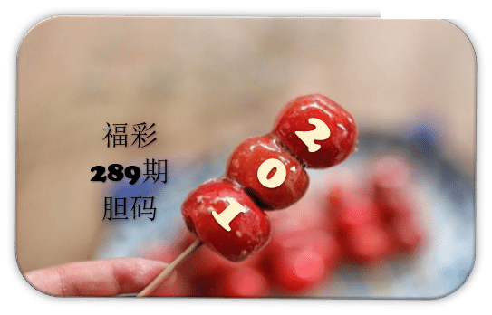 串串胆码图
