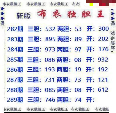 新版布衣独胆王