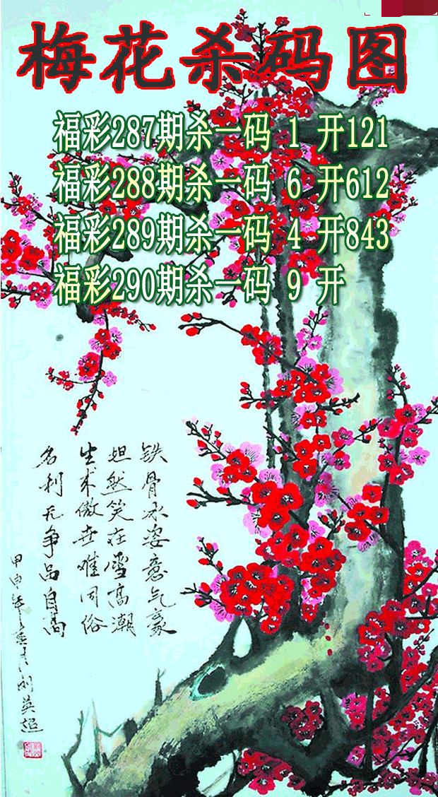 梅花杀码