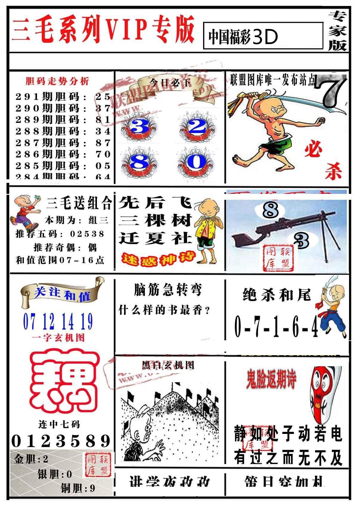 三毛专家版
