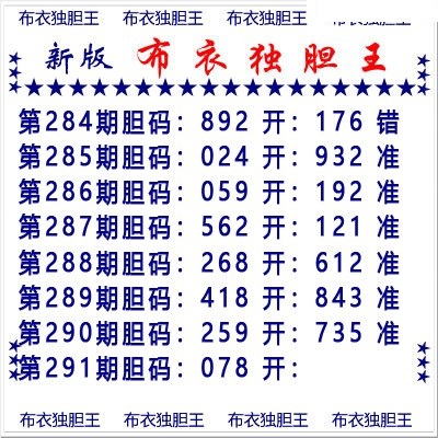 布衣独胆王