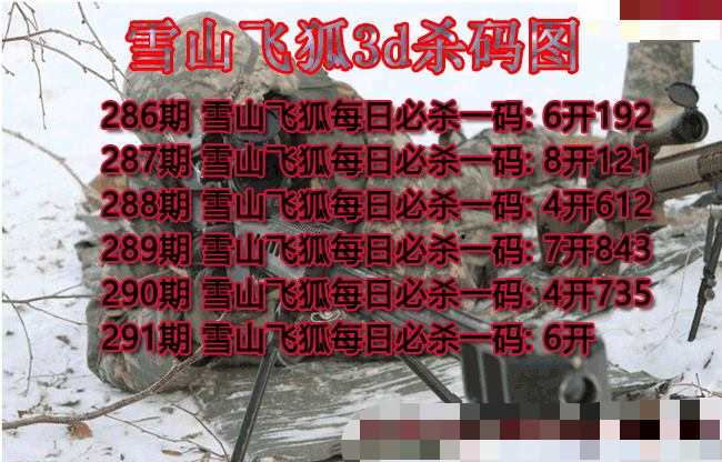 雪山飞狐杀码